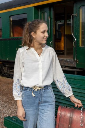 Blouse & Embroidery bluemulti